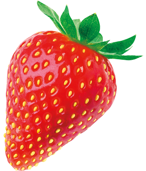 Erdbeeren